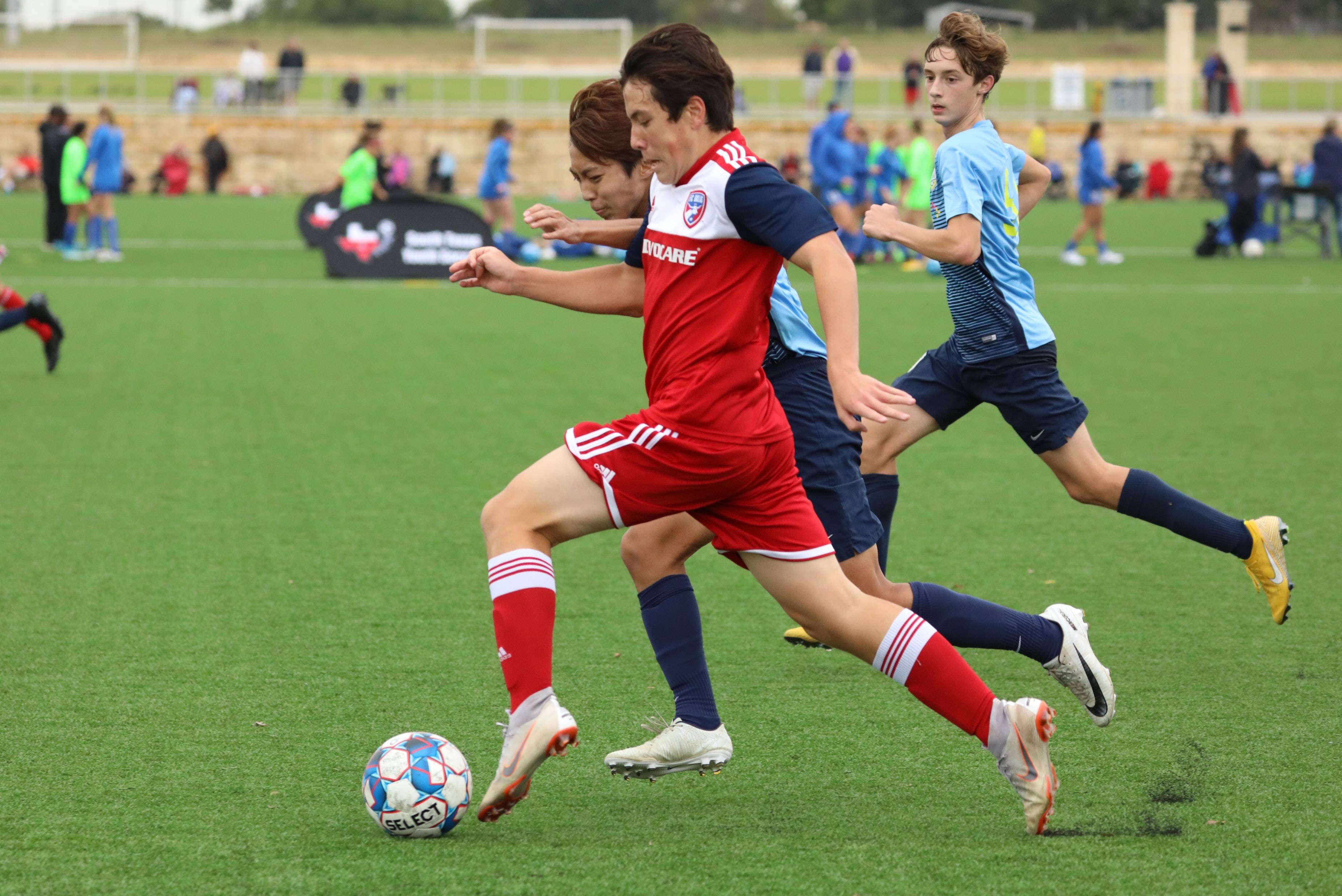 进攻欲望 进攻欲望