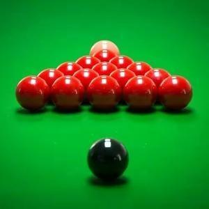 自由泳赛场 自由泳赛场